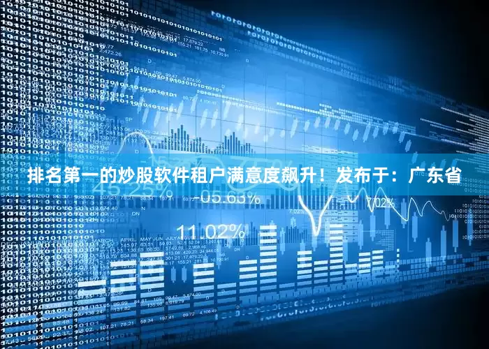 排名第一的炒股软件租户满意度飙升！发布于：广东省