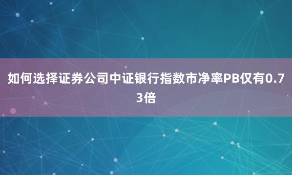 如何选择证券公司中证银行指数市净率PB仅有0.73倍
