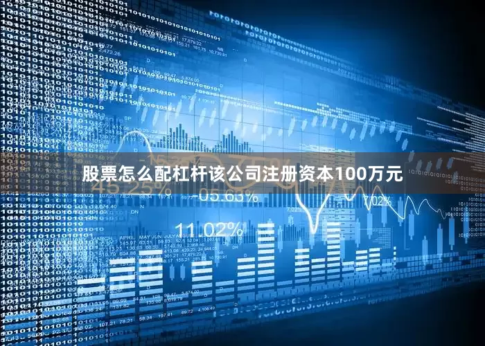 股票怎么配杠杆该公司注册资本100万元