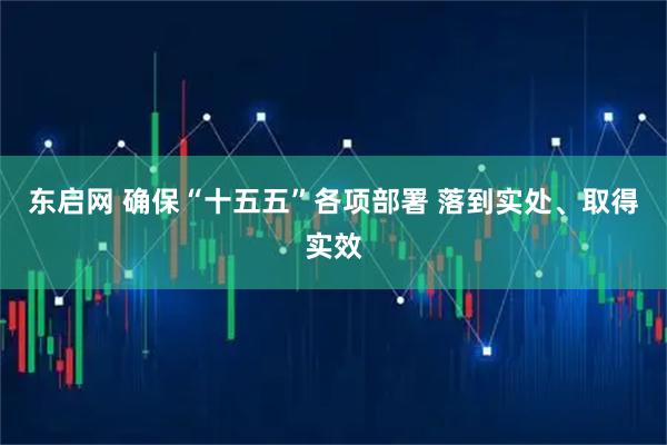 东启网 确保“十五五”各项部署 落到实处、取得实效