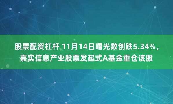 股票配资杠杆 11月14日曙光数创跌5.34%,嘉实信息产业股票发起式A基金重仓该股