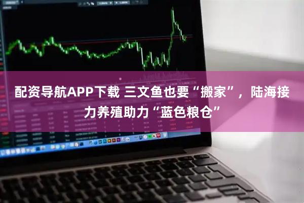 配资导航APP下载 三文鱼也要“搬家”，陆海接力养殖助力“蓝色粮仓”