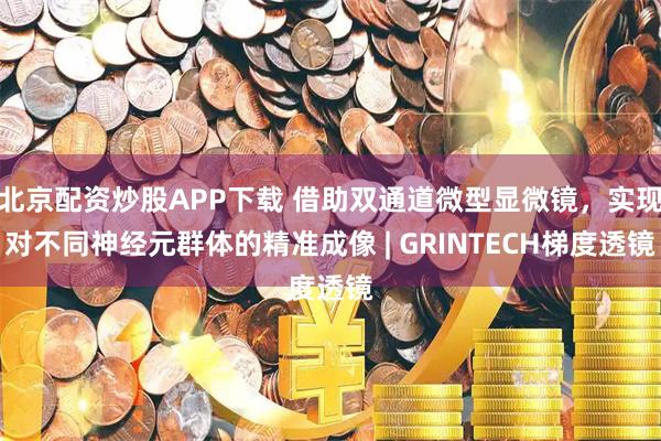 北京配资炒股APP下载 借助双通道微型显微镜，实现对不同神经元群体的精准成像 | GRINTECH梯度透镜
