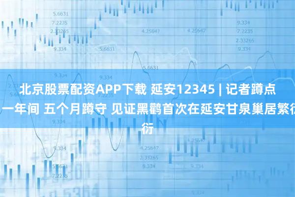 北京股票配资APP下载 延安12345 | 记者蹲点• 一年间 五个月蹲守 见证黑鹳首次在延安甘泉巢居繁衍